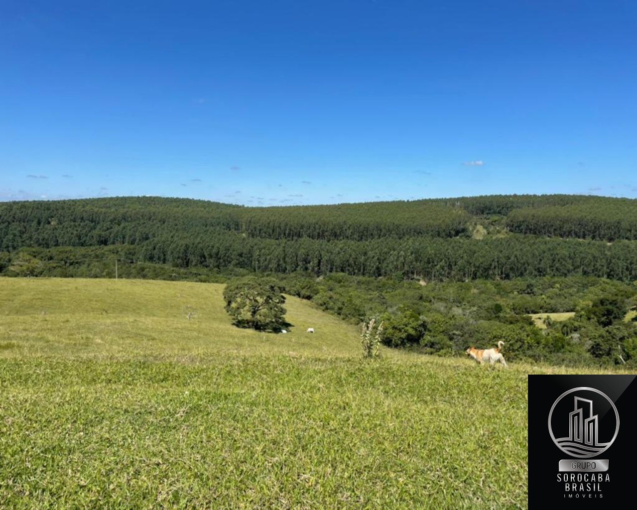 Fazenda em botucatu - sp