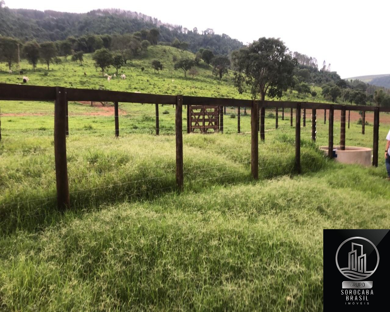 Fazenda região rural de itirapina - sp