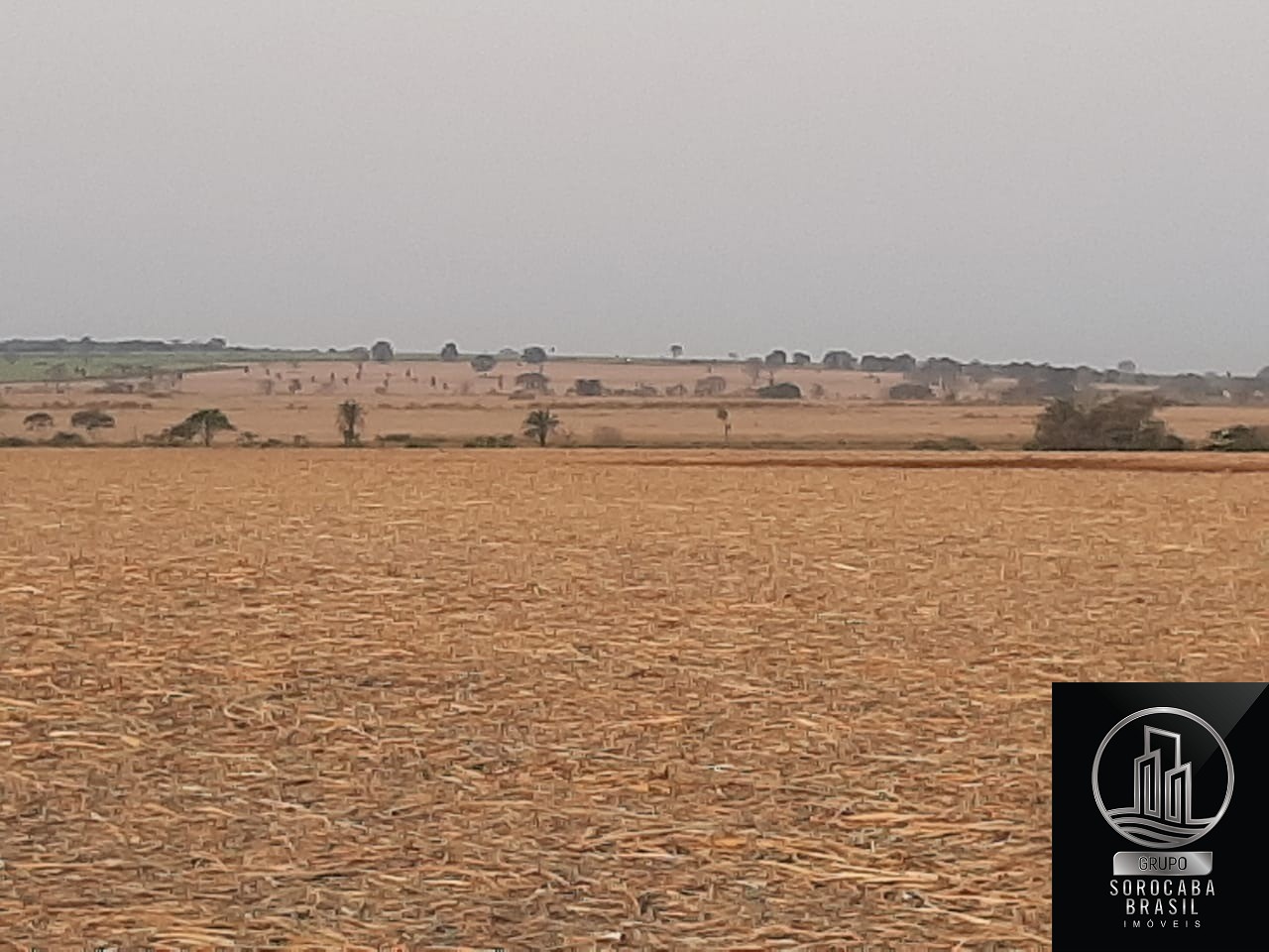 Fazenda em josé bonifácio - sp