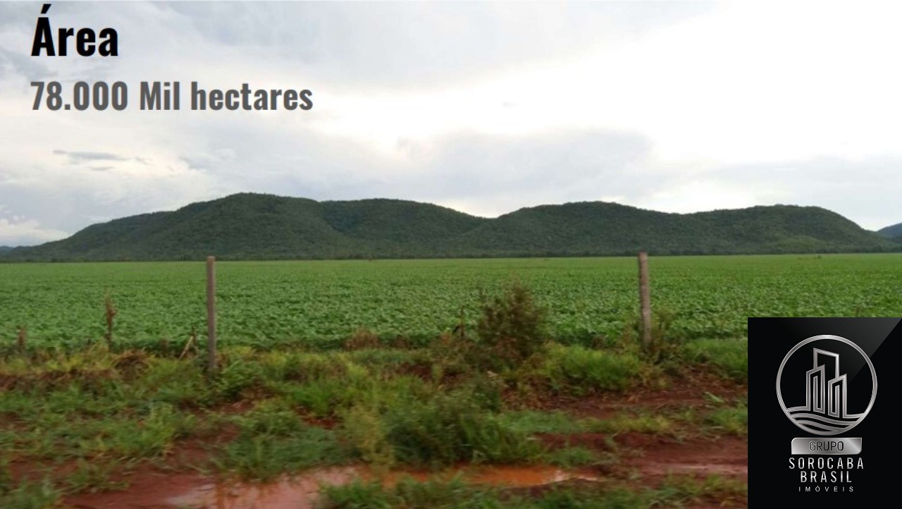 Fazenda bodoquena - mato grosso do sul