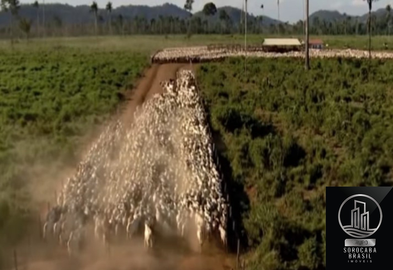 Fazenda santa bárbara - pa