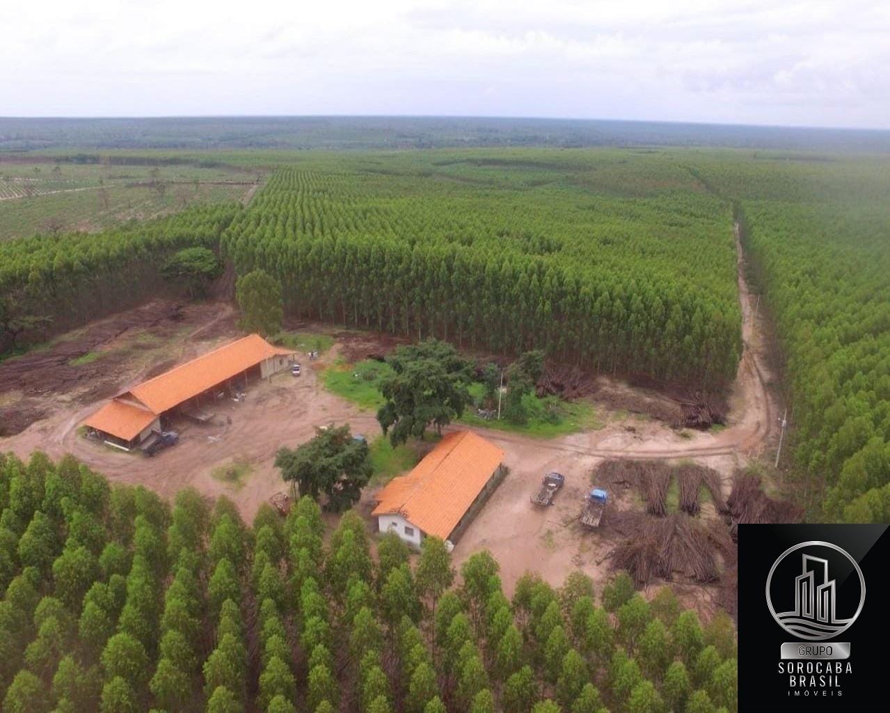 Fazenda em mato grosso do sul