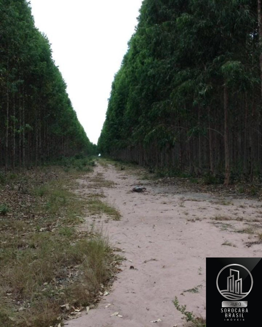 Fazenda em mato grosso do sul