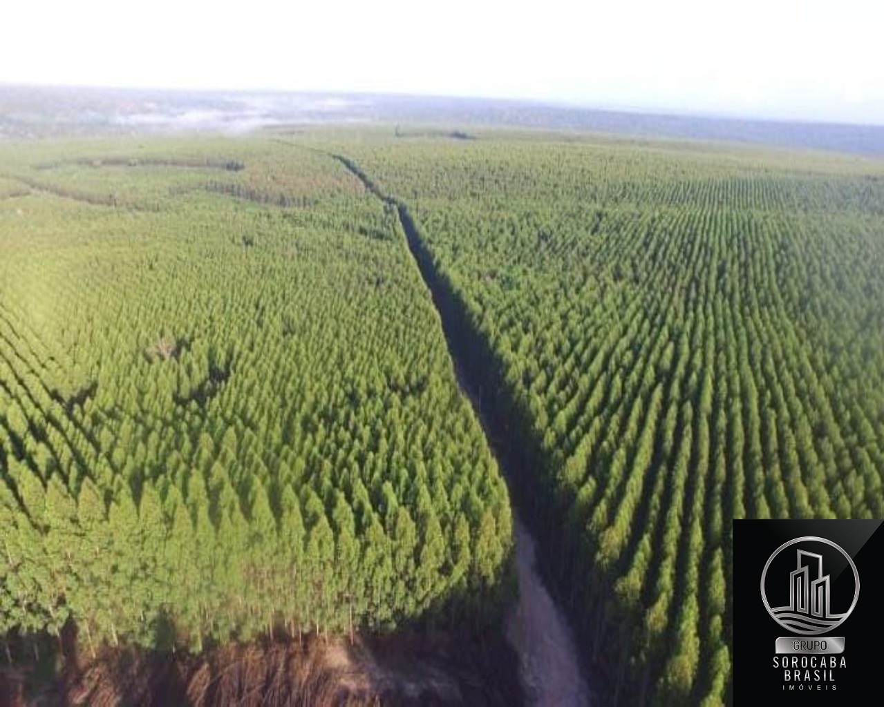 Fazenda em mato grosso do sul