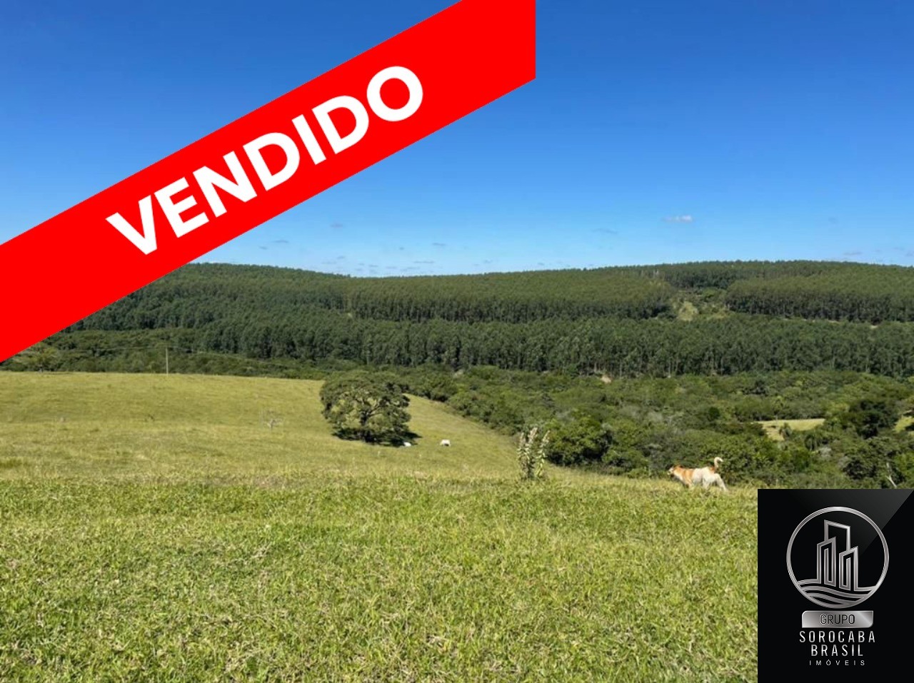 Fazenda em botucatu - sp