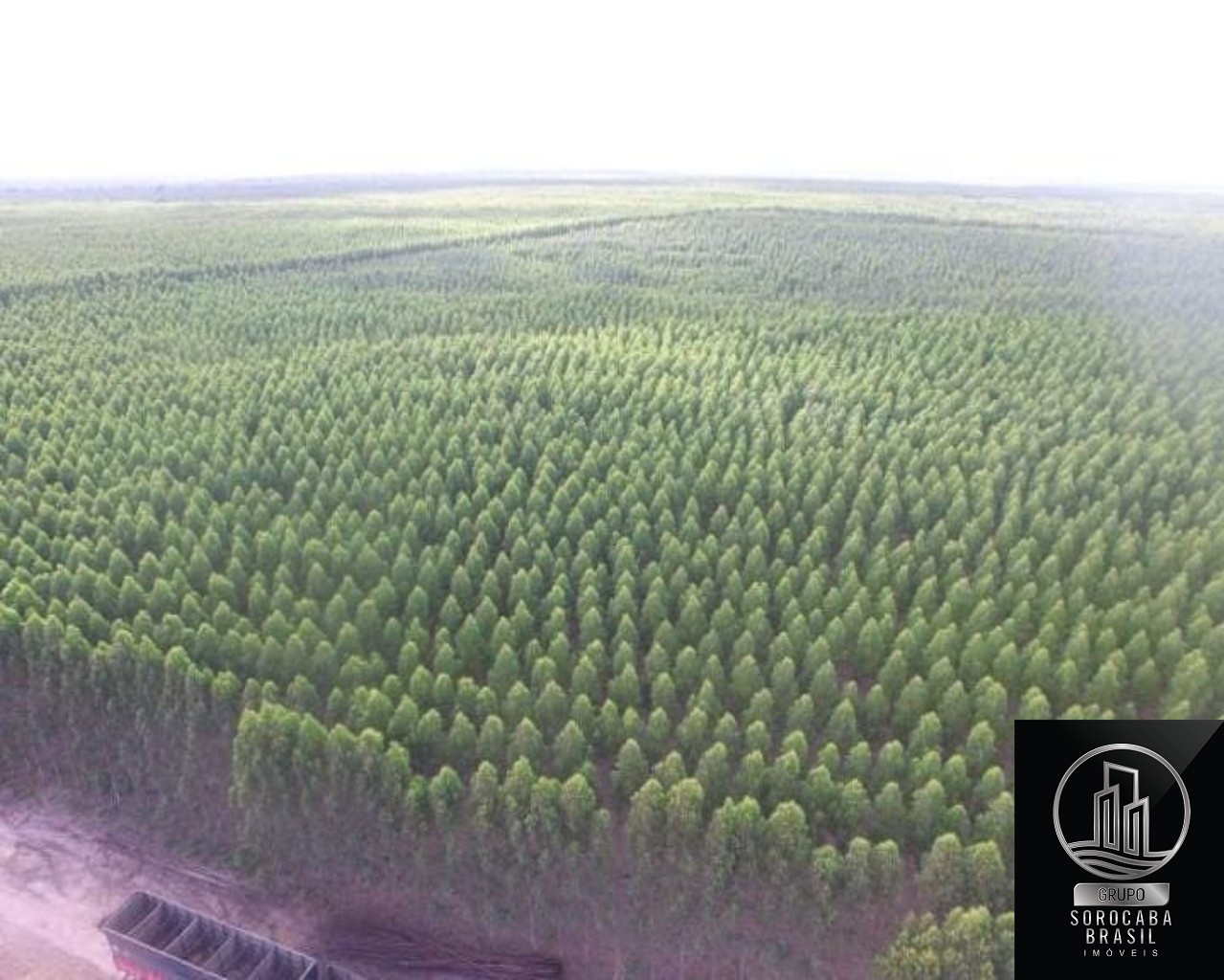 Fazenda em mato grosso do sul