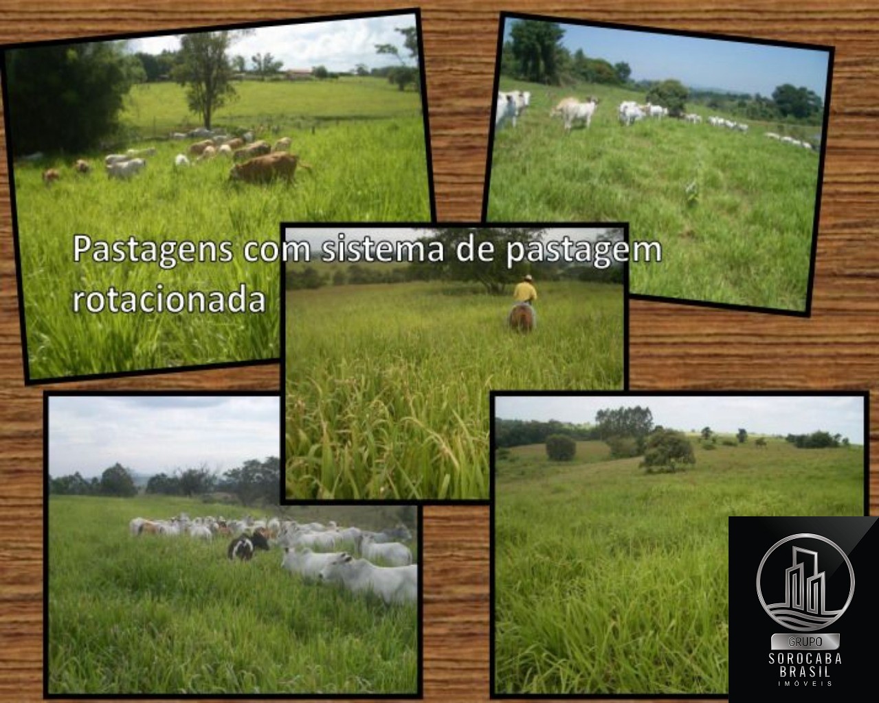 Fazenda à venda, 6292000 m² por R$ 75.000.000 - tatui - tatu
