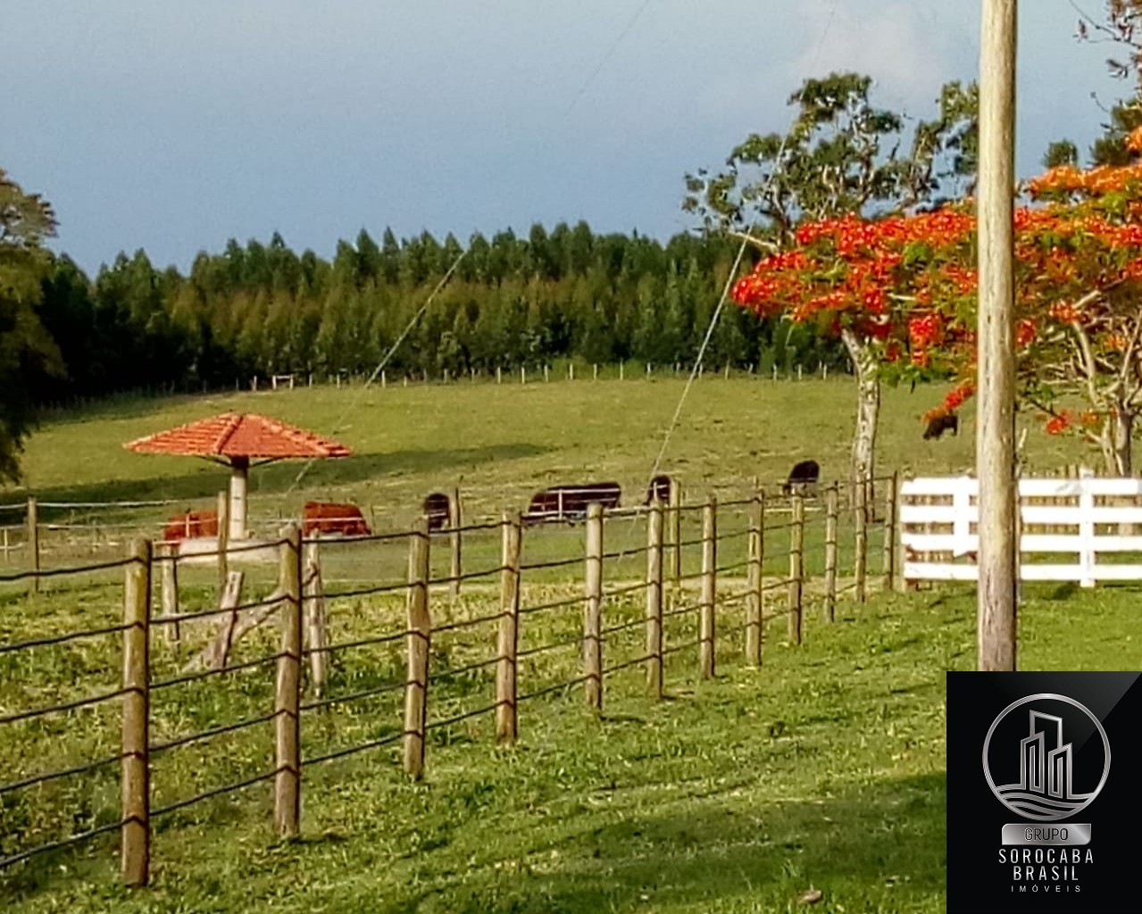 Fazenda a venda em na cidade de sarapui $15.000.000,00