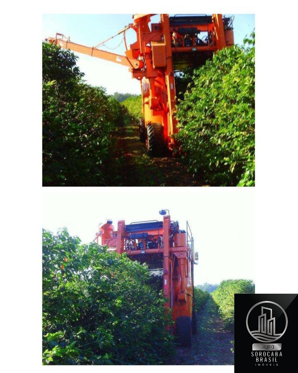Fazenda, município de garça sp., R$350.000.000,00.