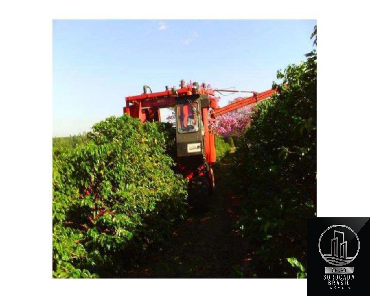 Fazenda, município de garça sp., R$350.000.000,00.