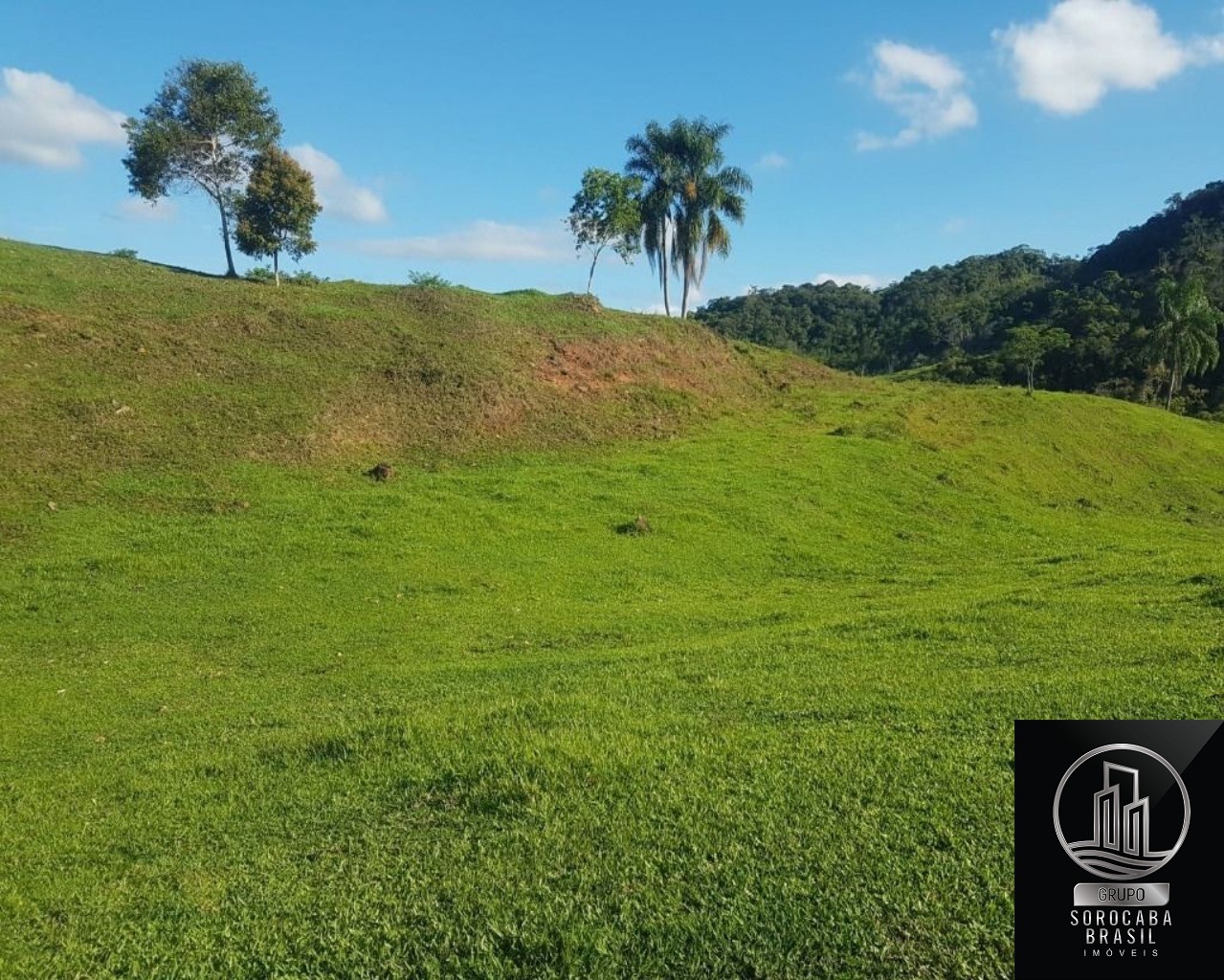 Fazenda à venda, 202000 m² por R$ 860.000 - serra - iporanga