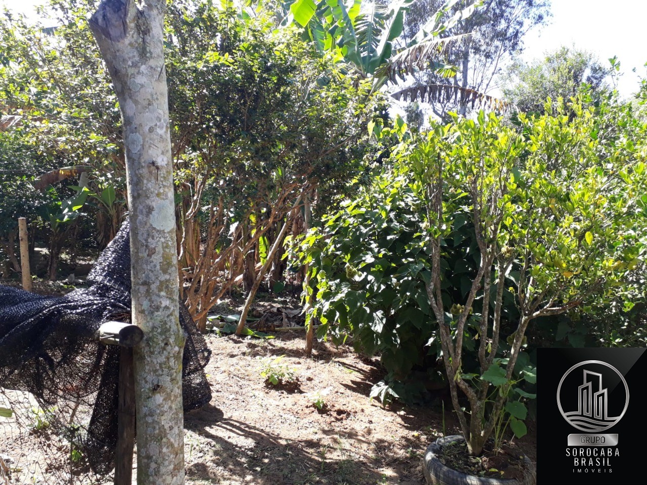 Chácara com 3 dormitórios à venda, 1500 m² por R$ 180.000 - 