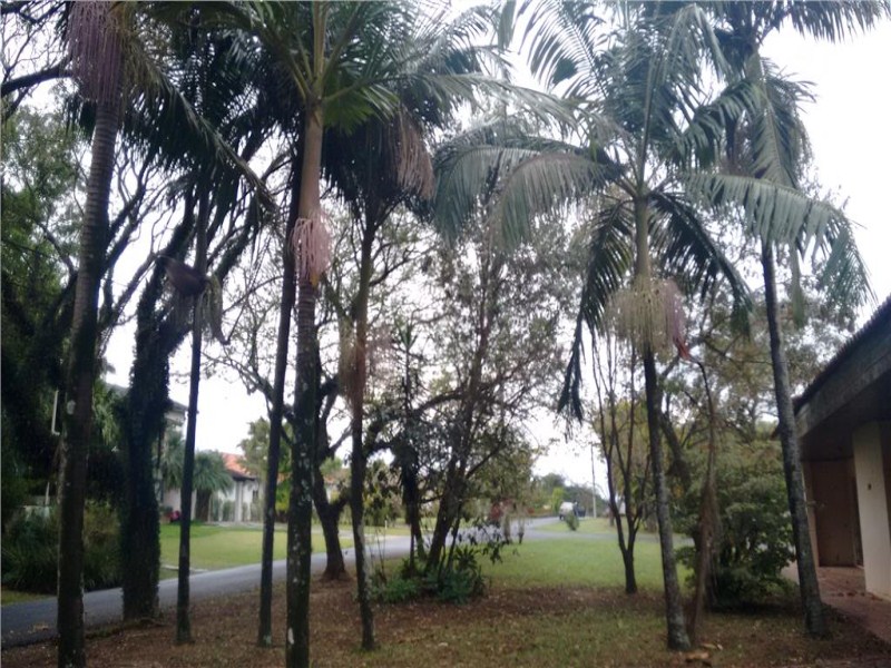 Terreno à venda, 2481 m² por R$ 2.010.000,00 - condomínio te