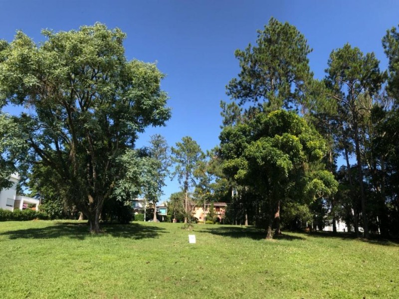 Terreno à venda, 1250 m² por R$ 955.000,00 - lago azul condo