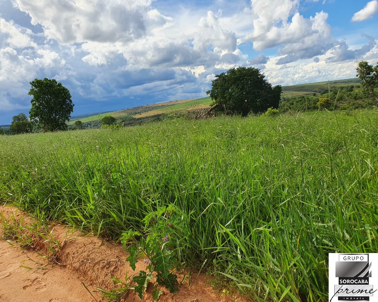 Fazenda rural em alto taquari - mt, centro