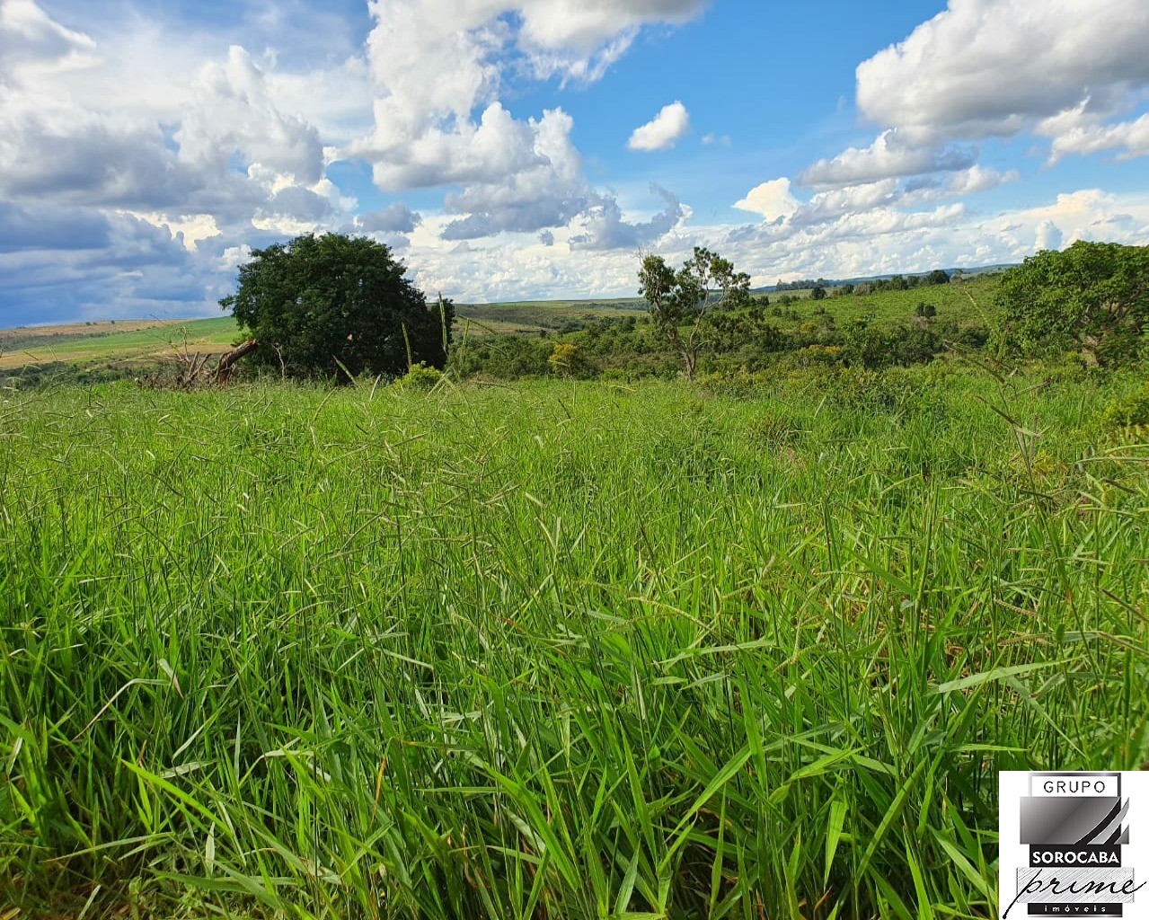 Fazenda rural em alto taquari - mt, centro