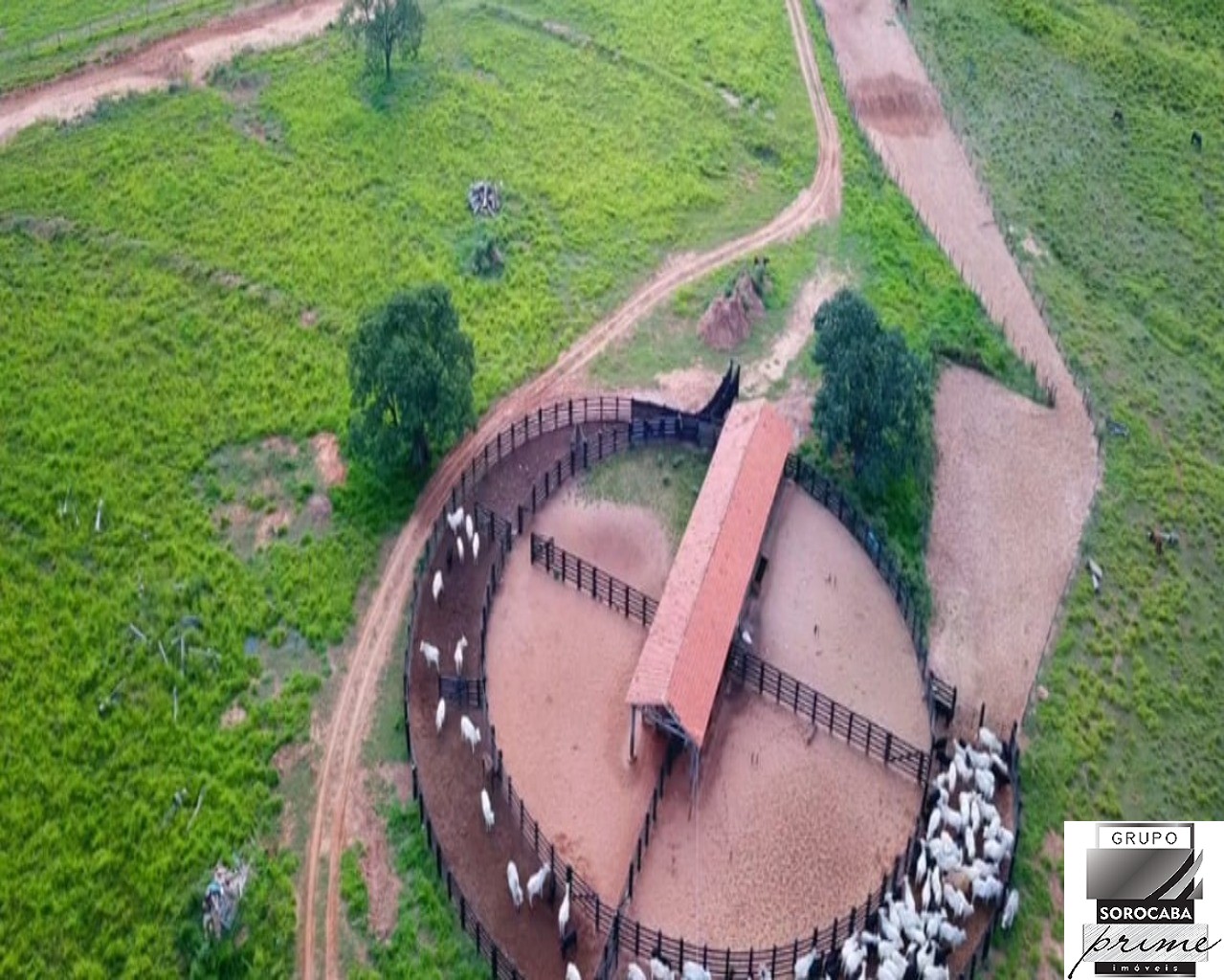 Fazenda rural em ribas do rio pardo - sp, centro