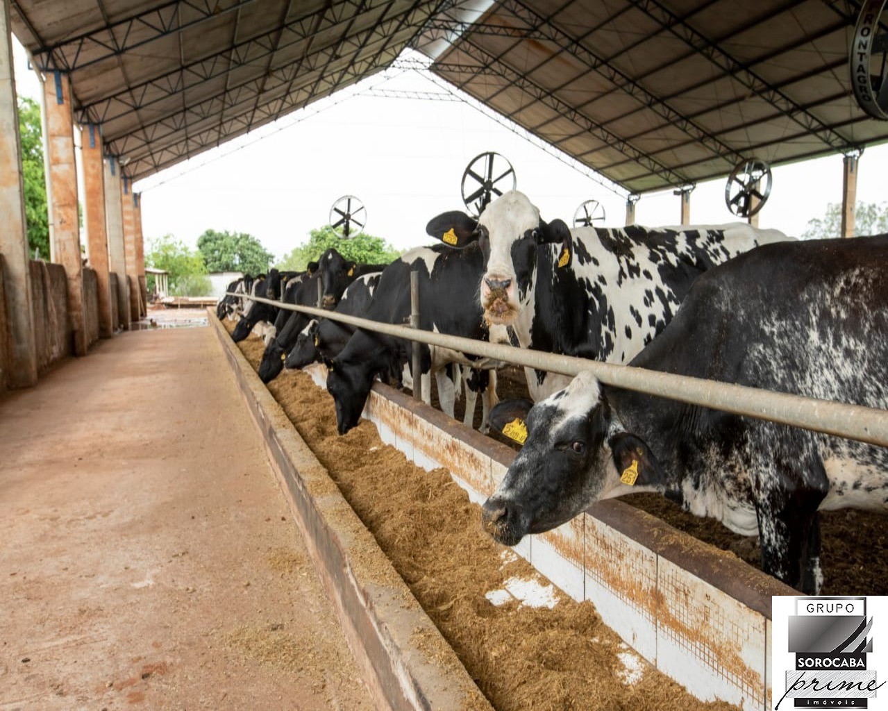 Fazenda rural em emilianópolis - sp, centro