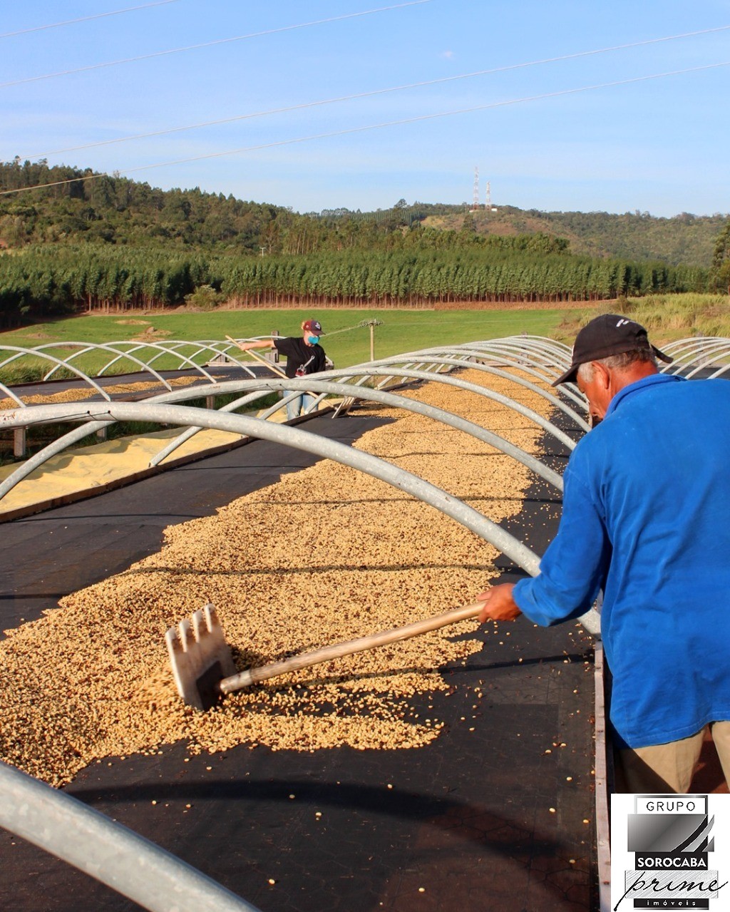Fazenda rural em bragança paulista - sp, bragança paulista - foto 2