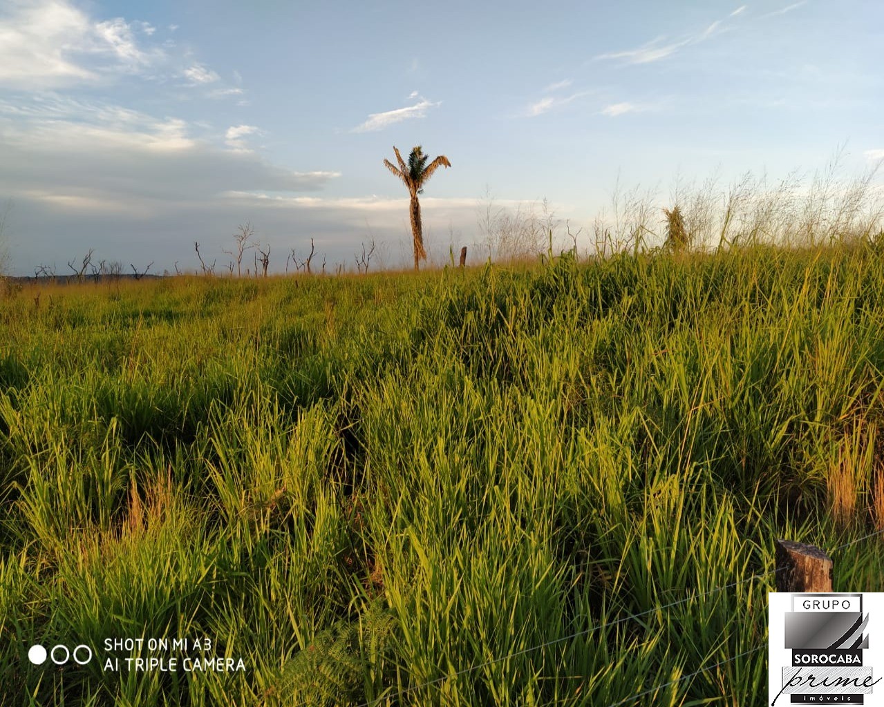 Fazenda rural em vila rica - mt, vila rica