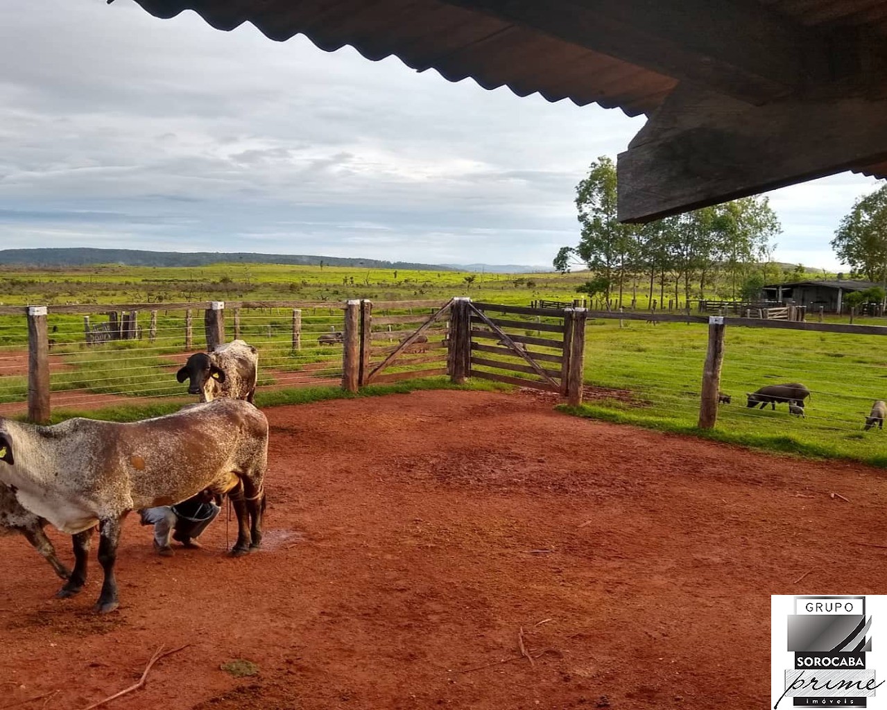 Fazenda rural em vila rica - mt, vila rica
