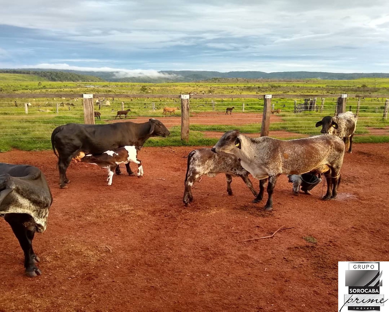 Fazenda rural em vila rica - mt, vila rica