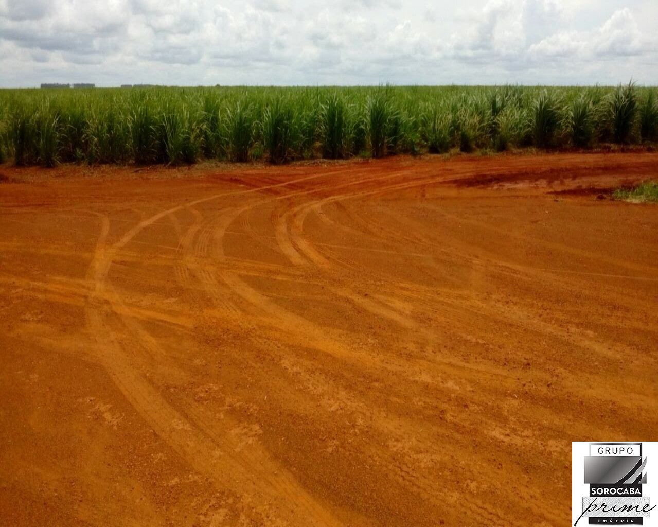 Fazenda 778 alqueires paulista - região de são josé do rio p