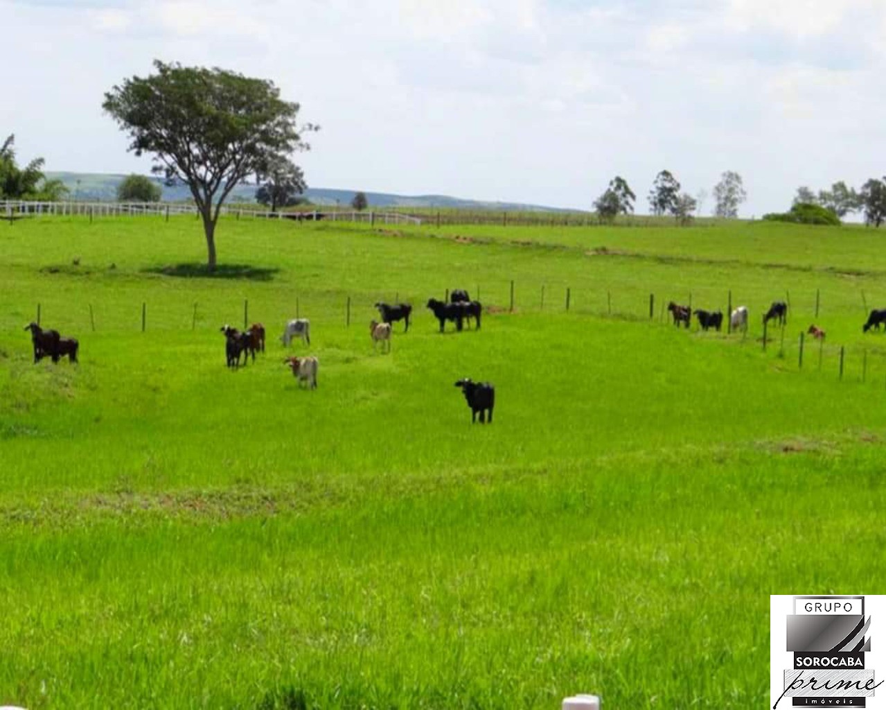 Fazenda de alto padrão no município de bauru/sp