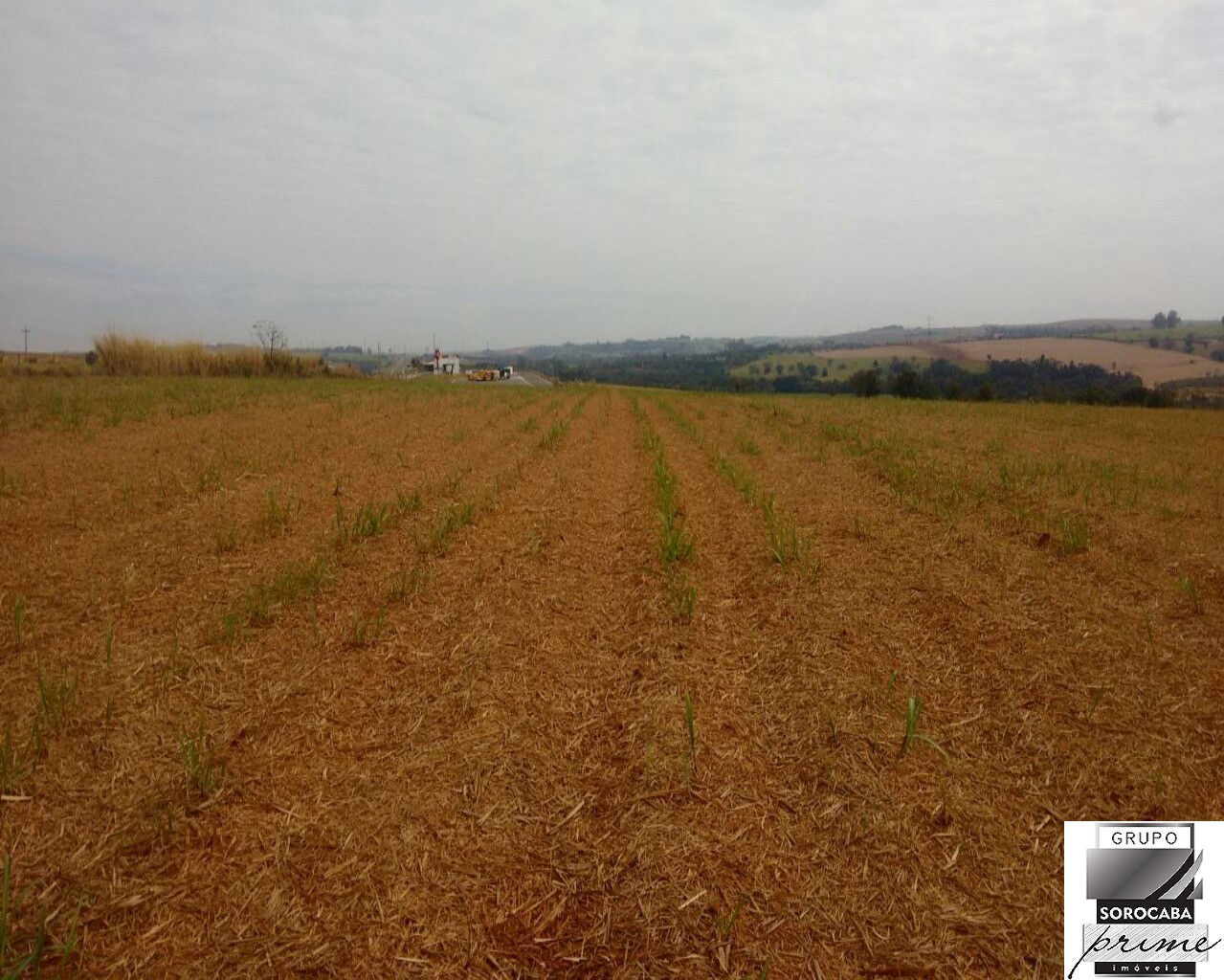Fazenda no municipio de tatui - 3km frente pra castelo