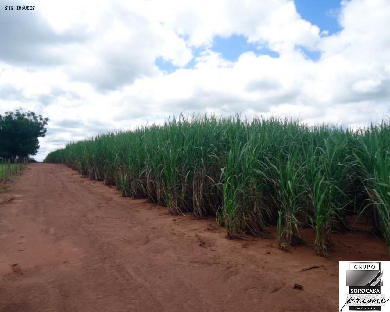 Fazenda à venda, 1.040 alq por R$ 364.000.000 - vila iguacu 