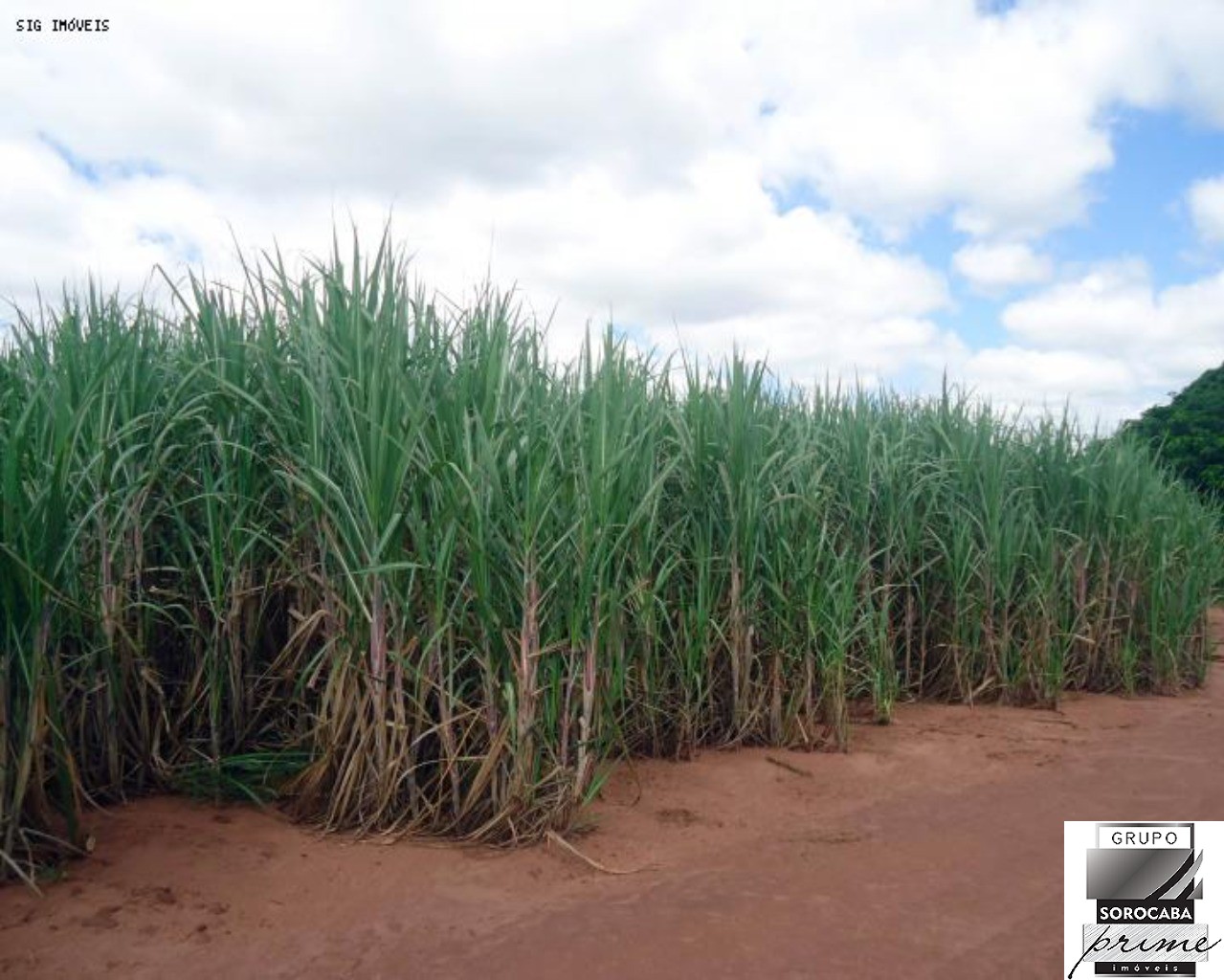 Fazenda à venda, 1.040 alq por R$ 364.000.000 - vila iguacu 