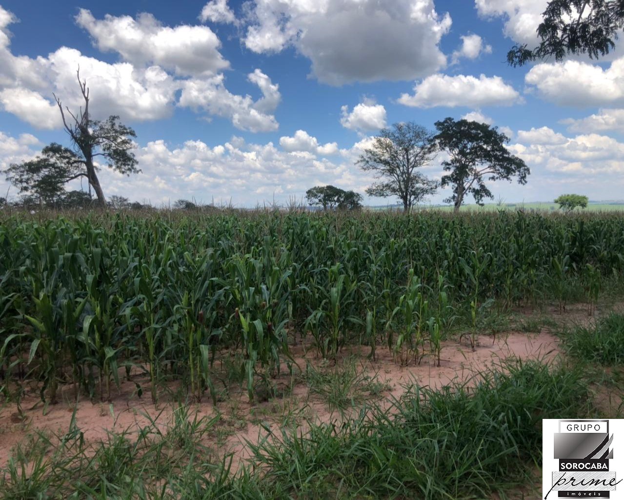Fazenda em são carlos