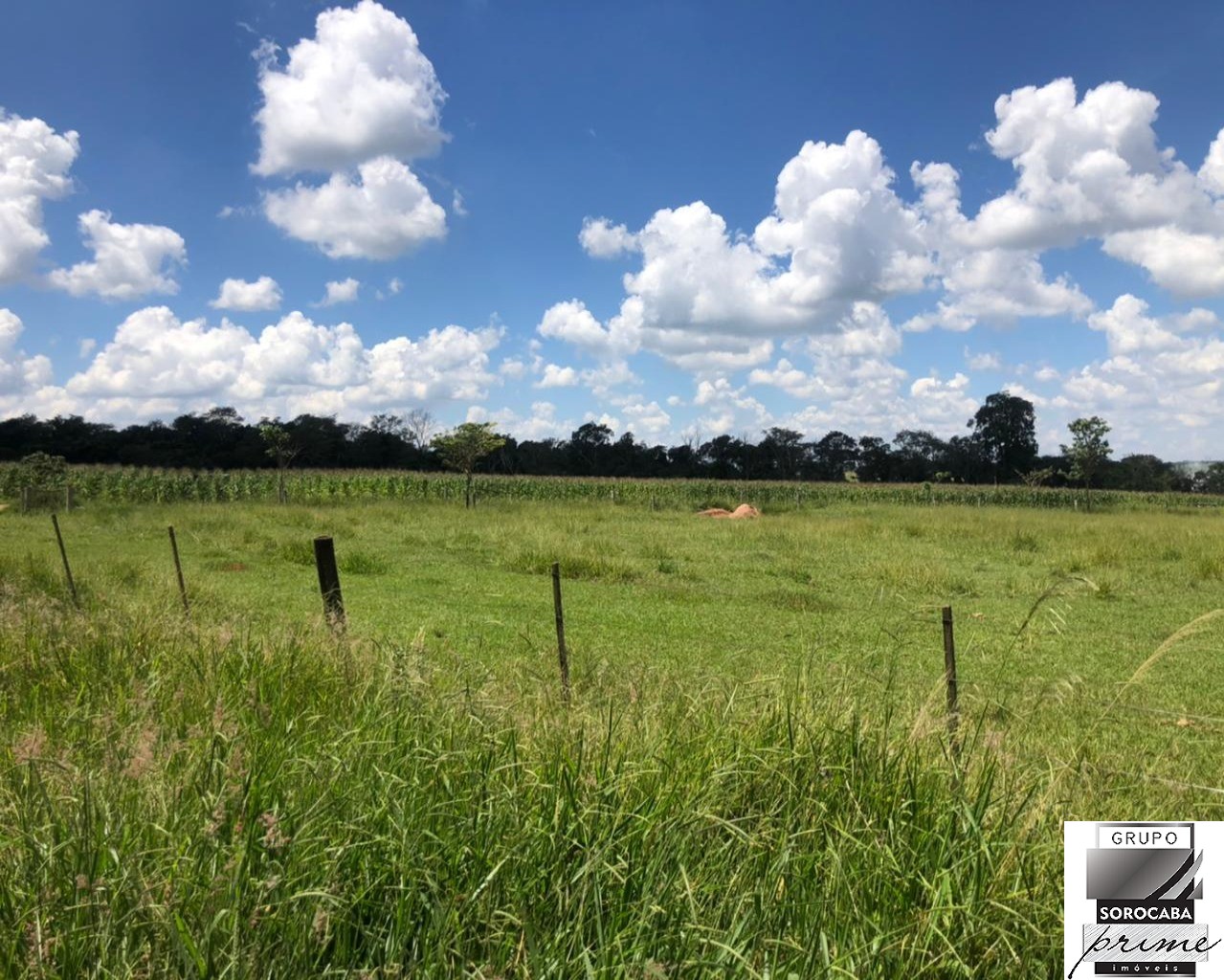Fazenda em são carlos