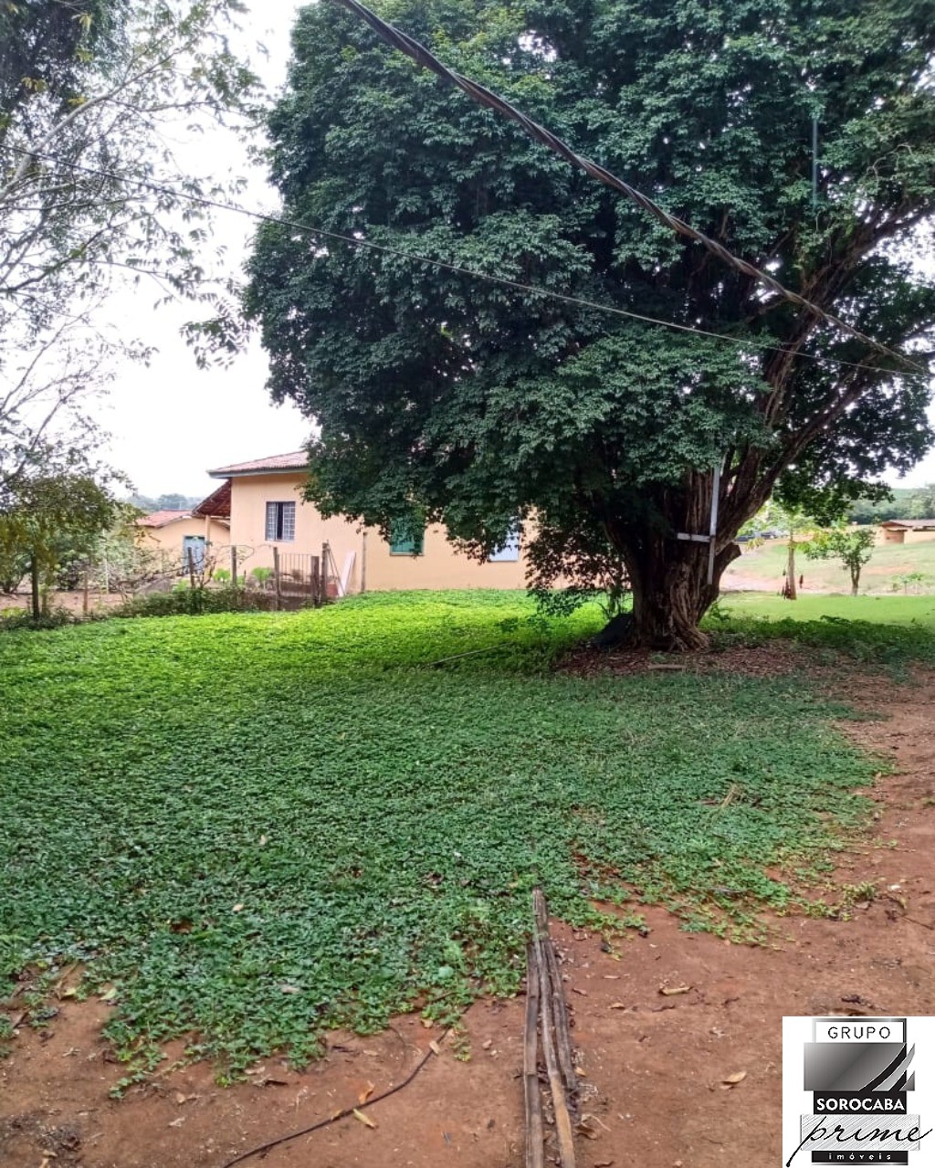 Fazenda 1317 hectares - bahia