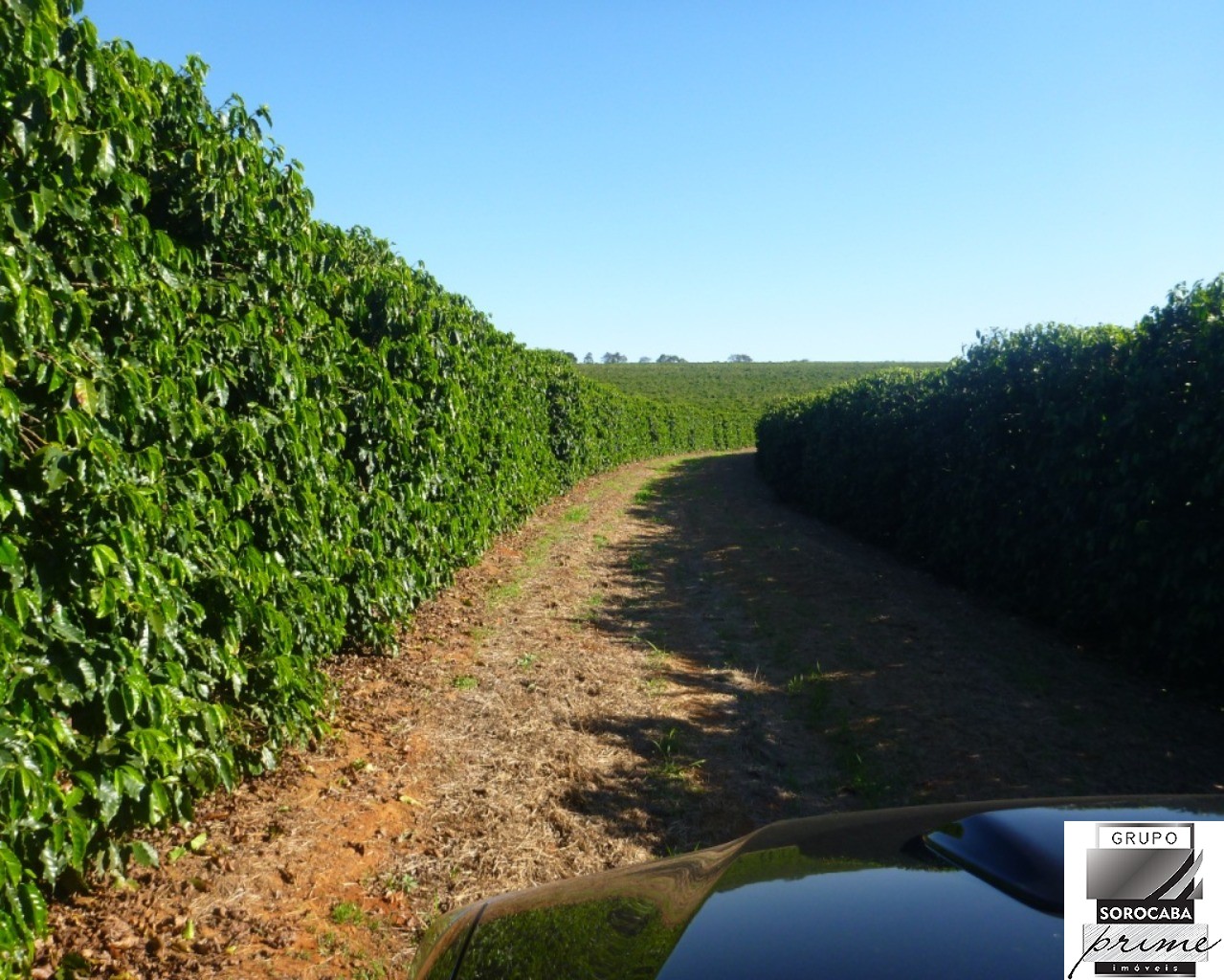 Fazenda 1317 hectares - bahia
