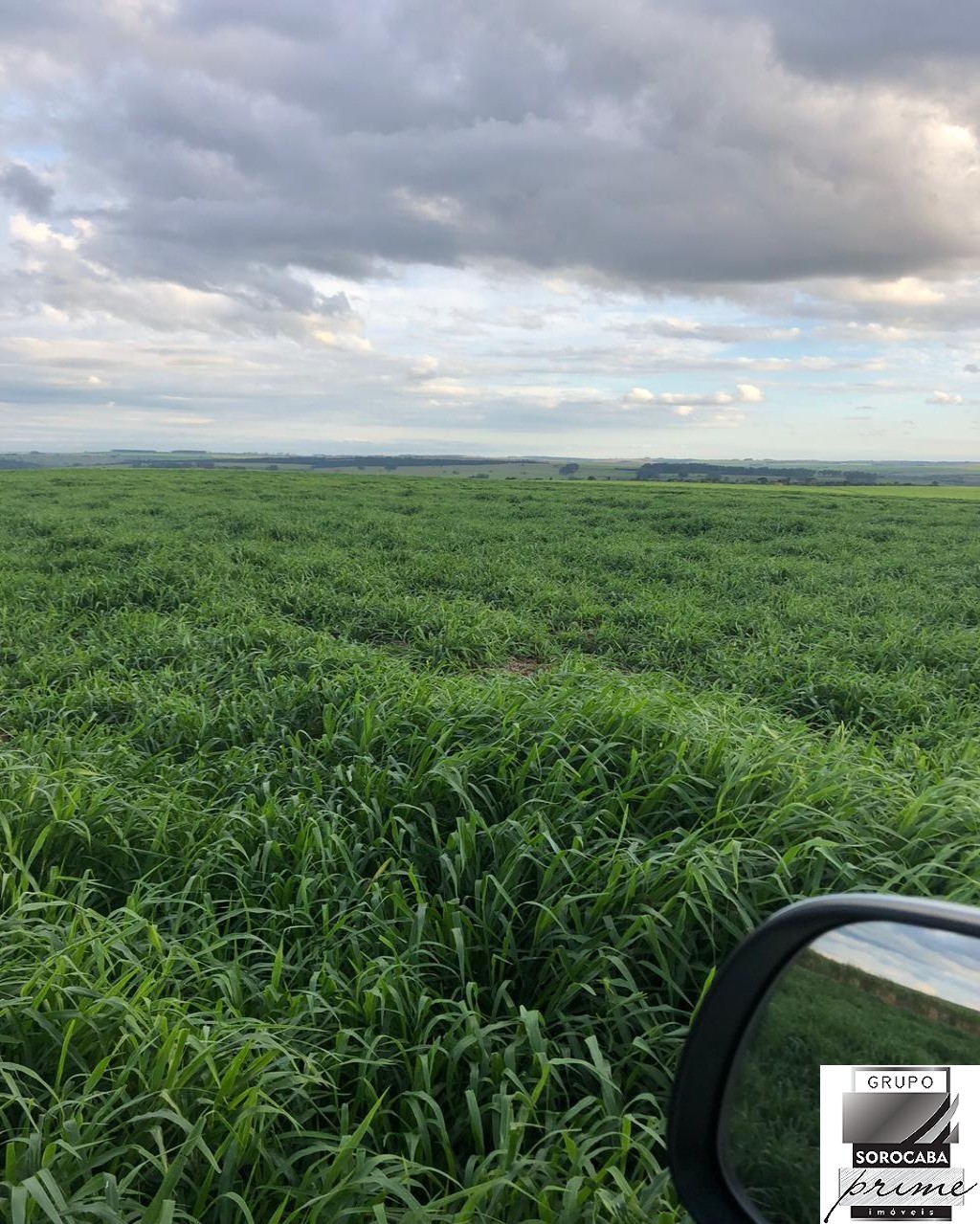 Fazenda em pompeia/sp - 1.080 alq.