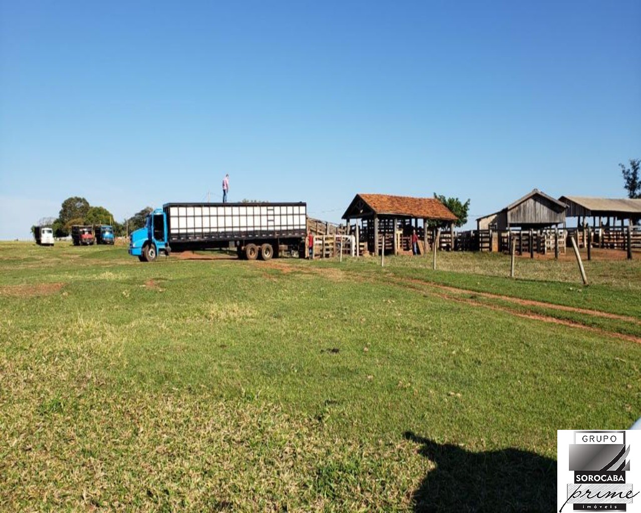 Fazenda no município de itajobi - sp