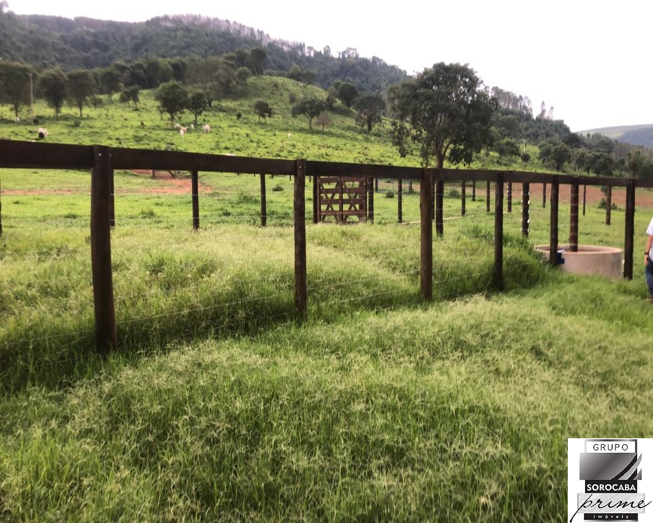 Fazenda região rural de itirapina - sp