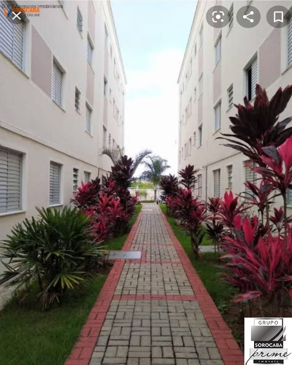 Apartamento para locação - 2 dormitórios R$950,00