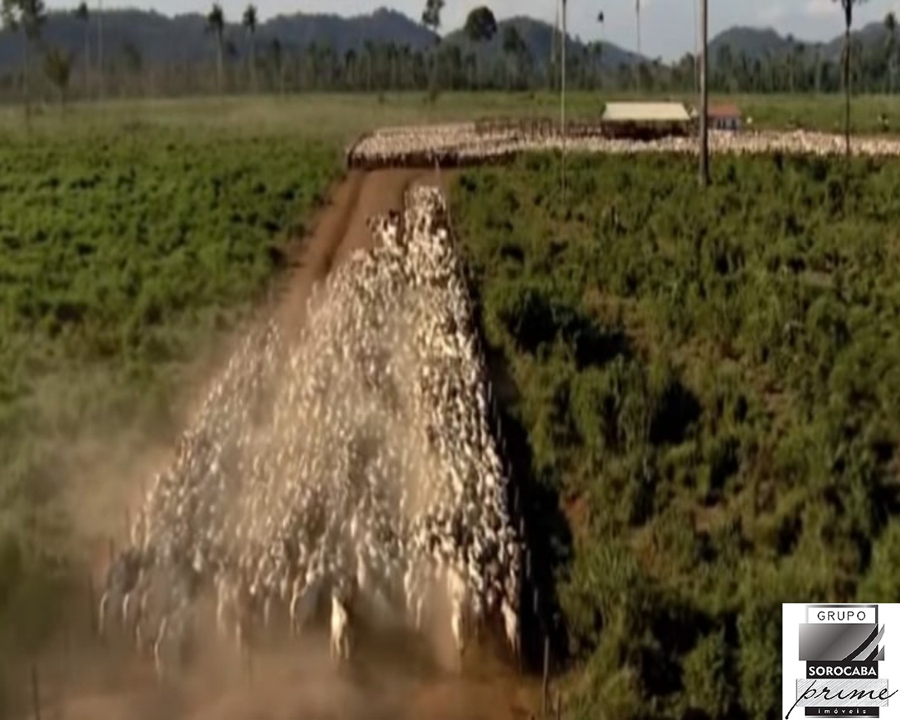 Fazenda santa bárbara - pa