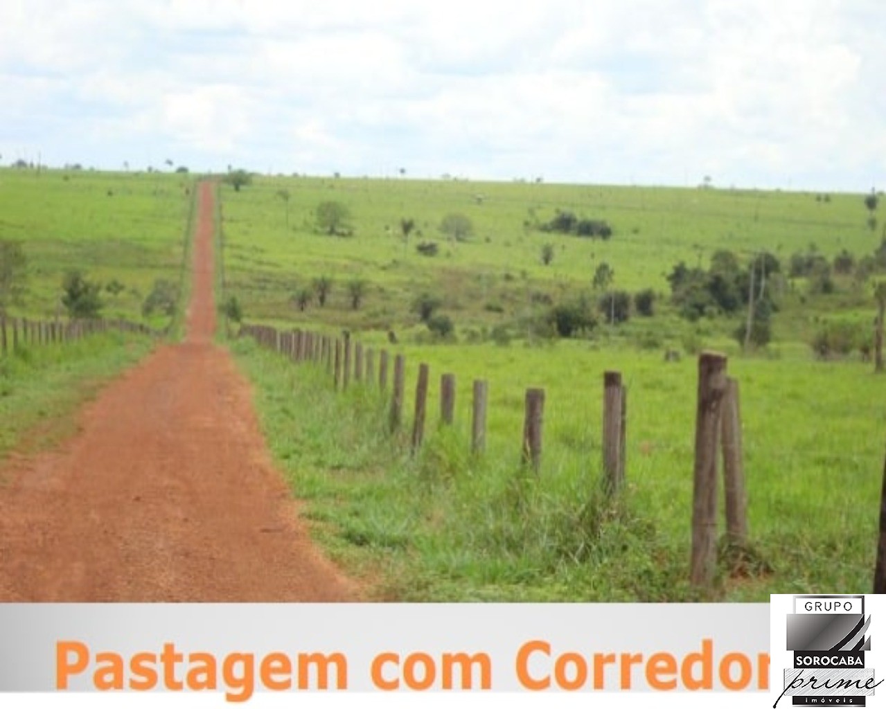 Fazenda santa bárbara - pa