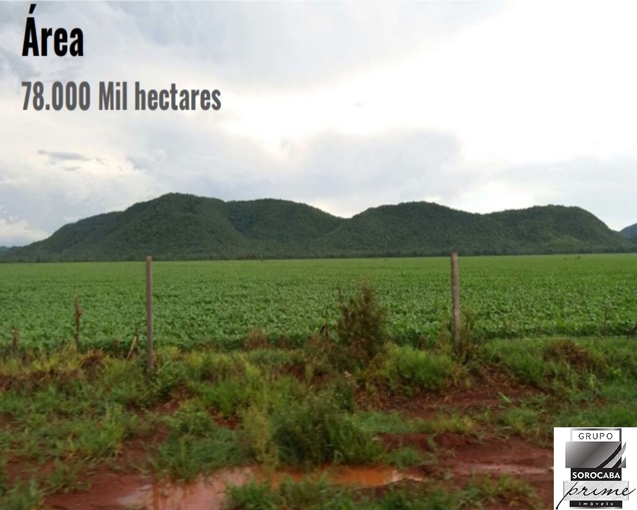 Fazenda rural em corumbá - ms, corumbá