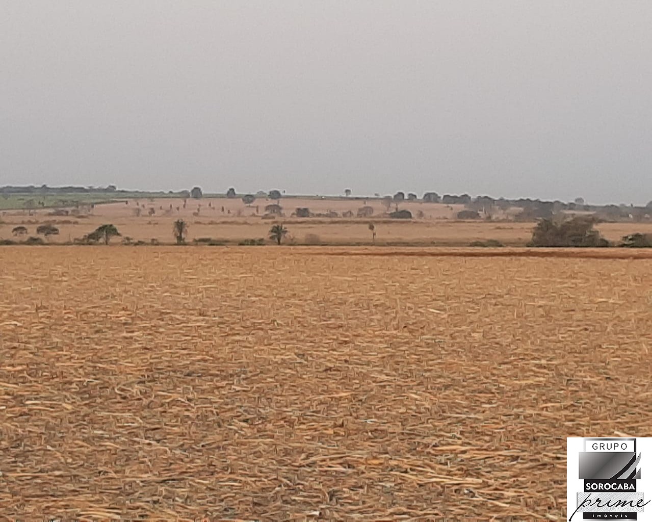 Fazenda em josé bonifácio - sp