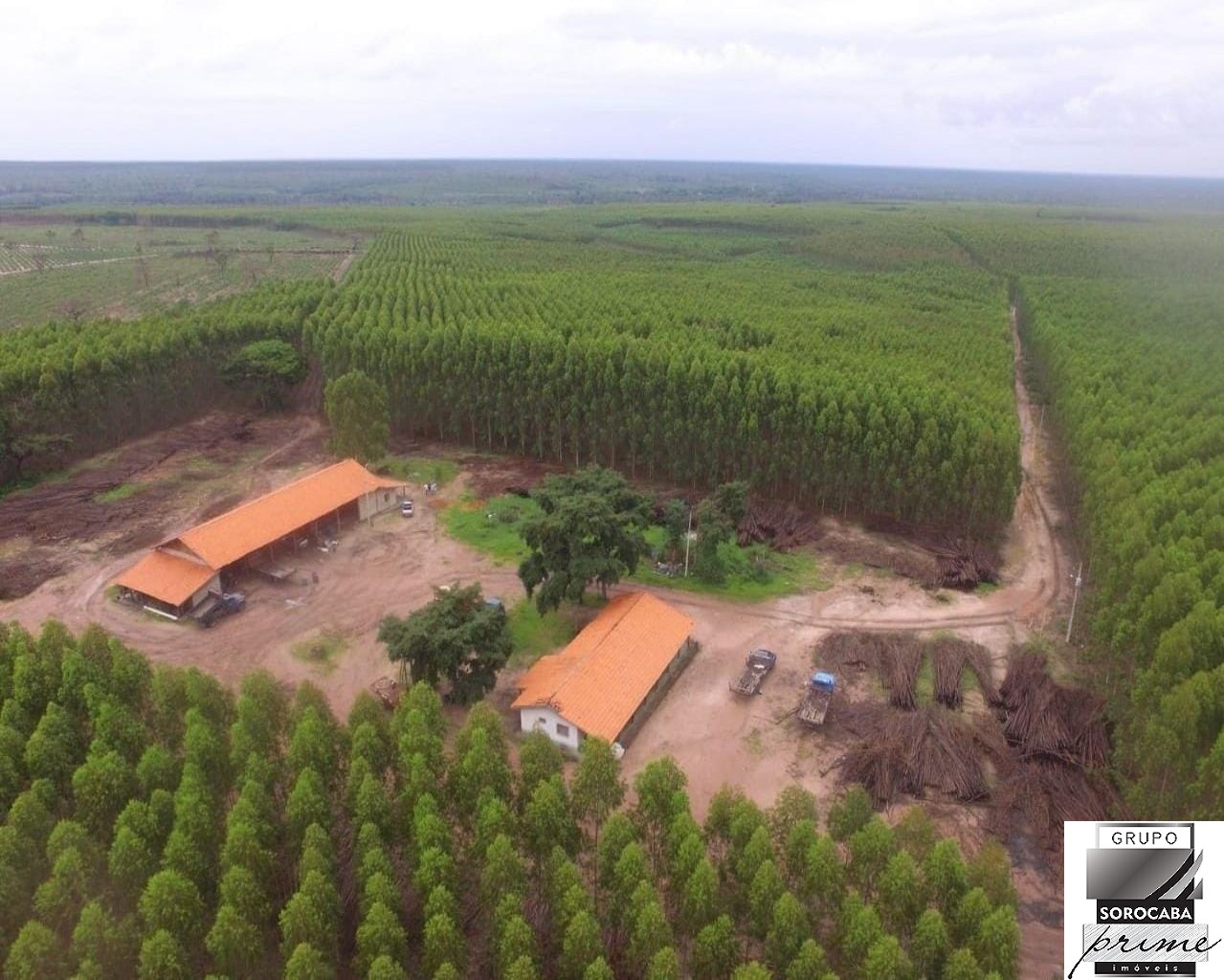 Fazenda em mato grosso do sul