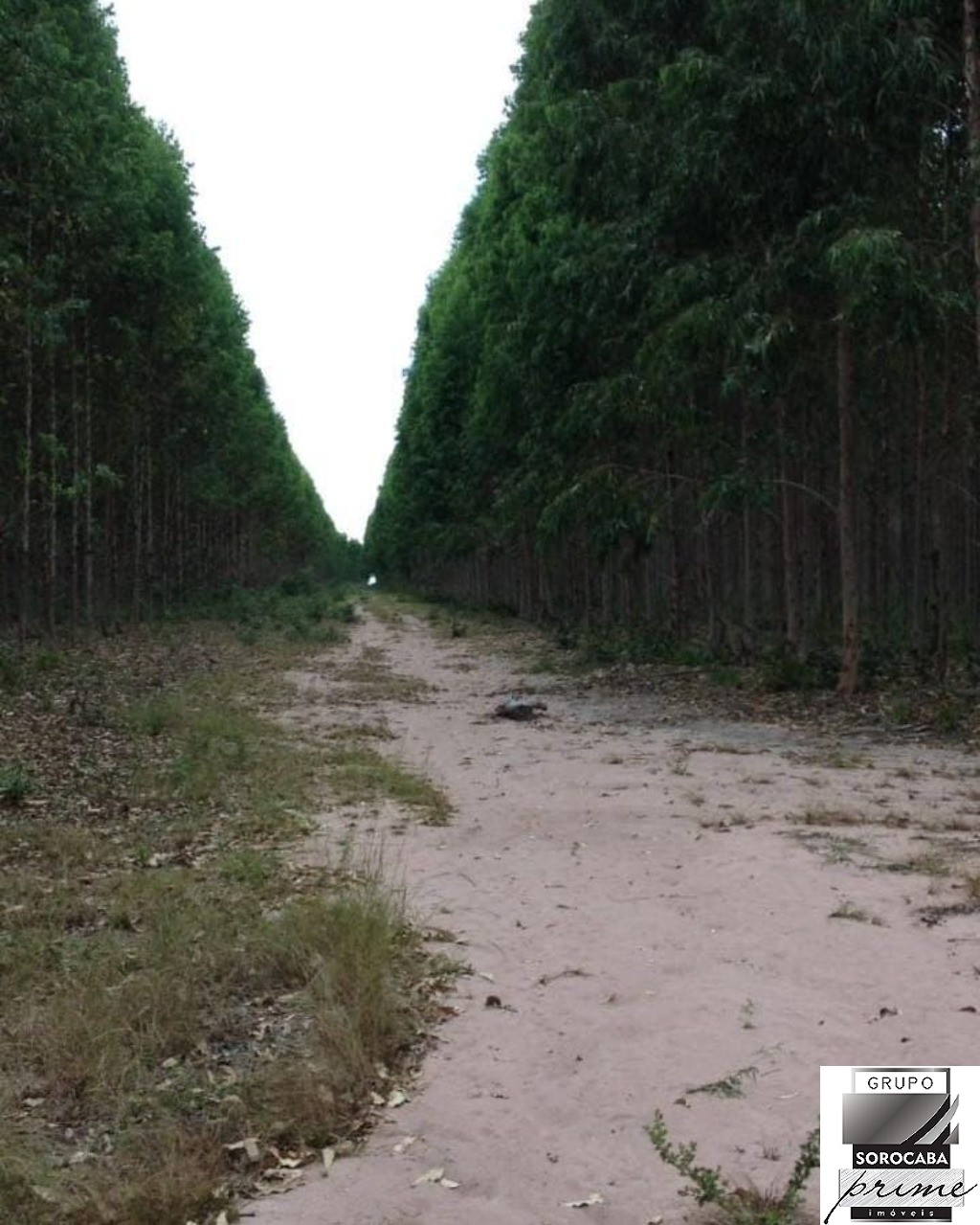 Fazenda em mato grosso do sul