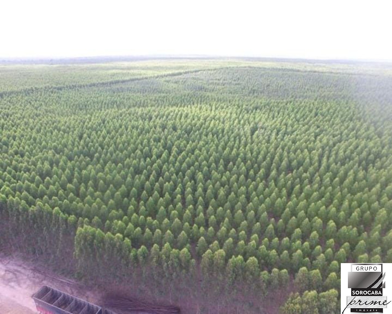 Fazenda em mato grosso do sul