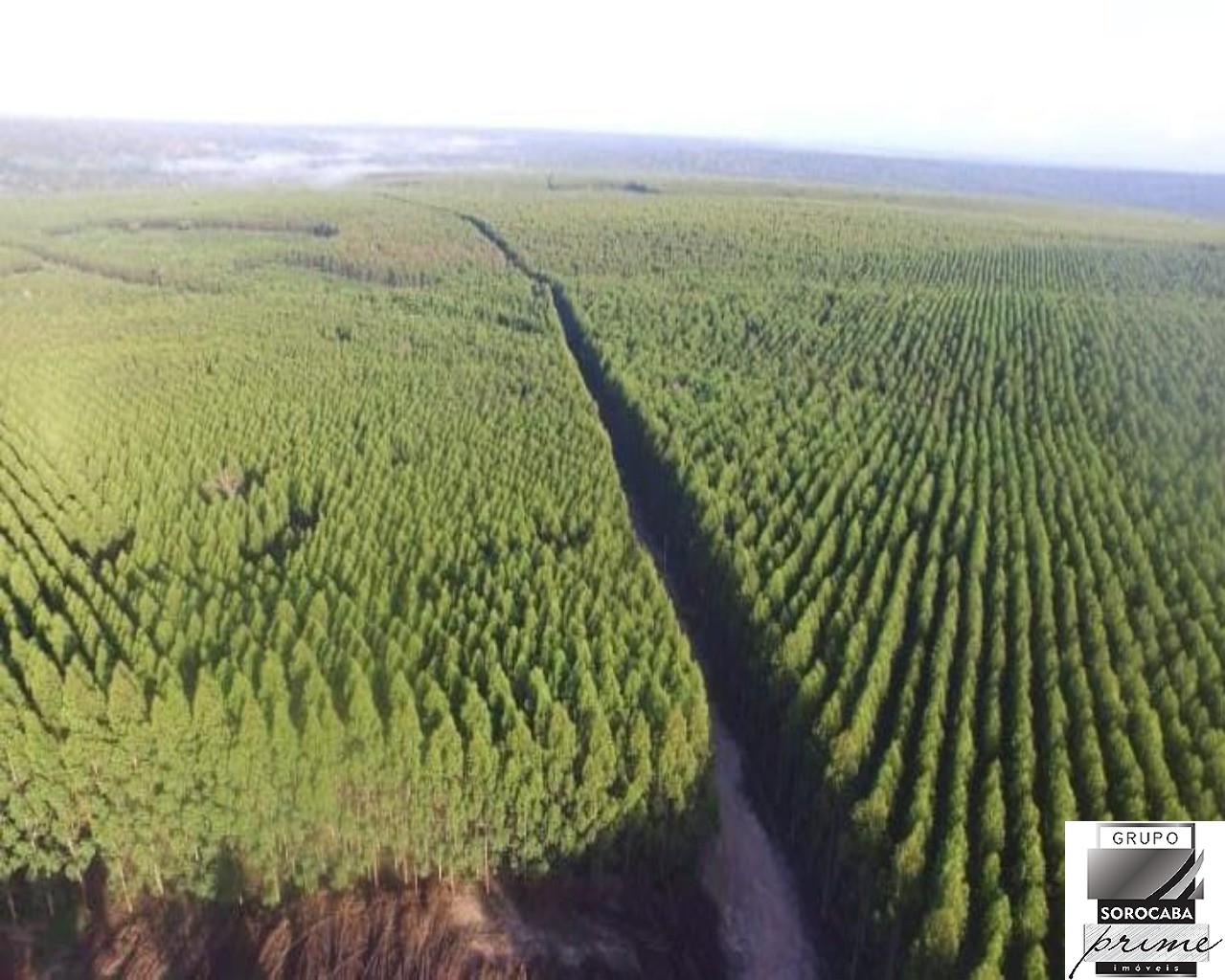 Fazenda em mato grosso do sul