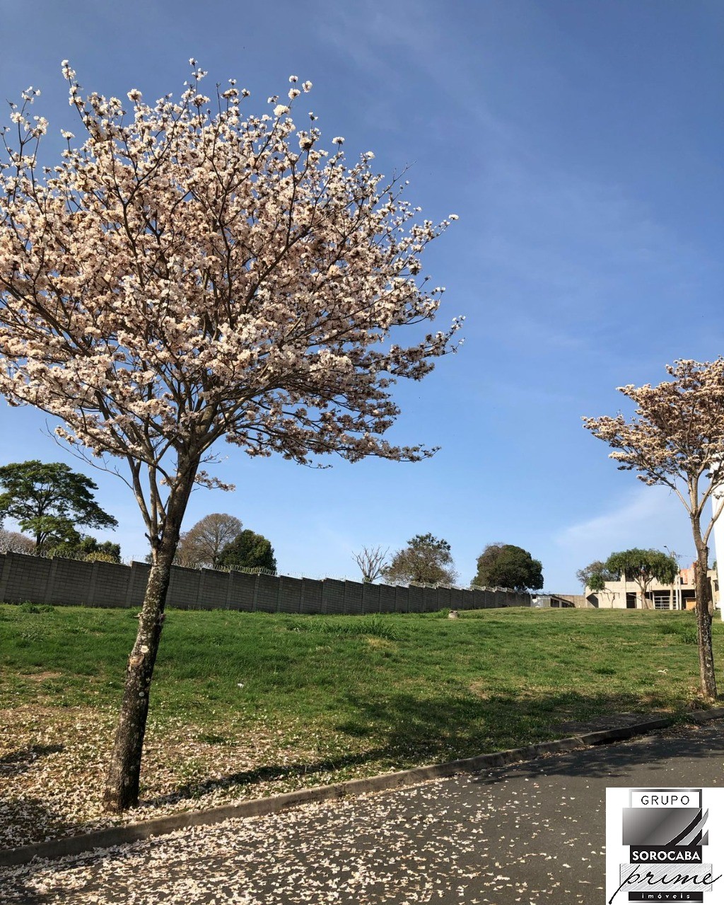Terreno 10x32m. Leve aclive $ 200.000,00
