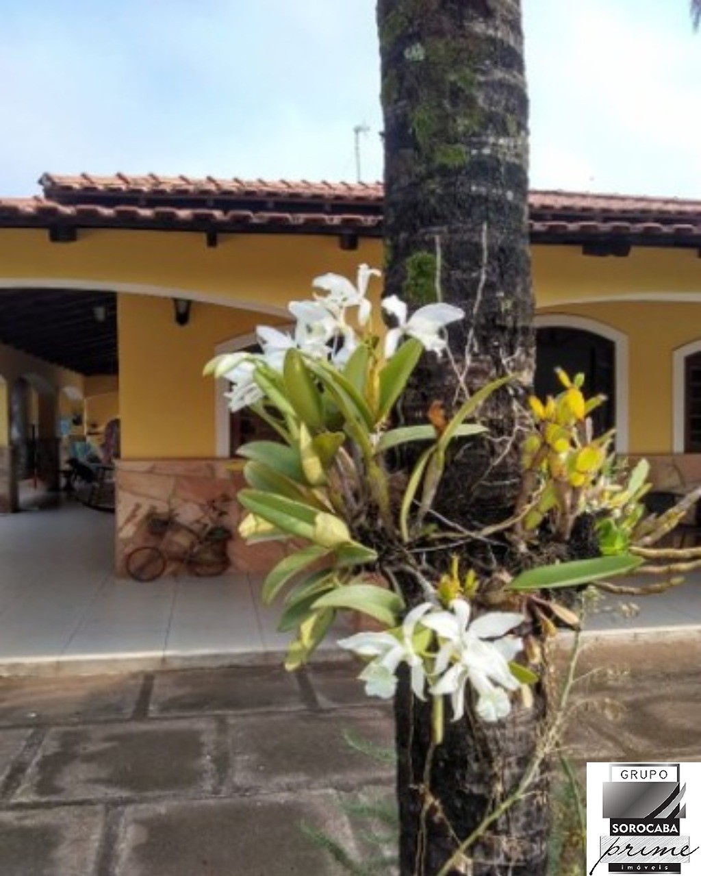 Chácara residencial paraíso R$1.000.000,00