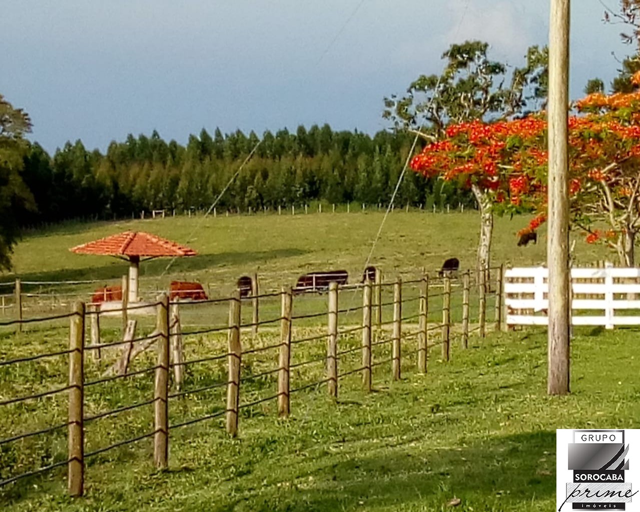 Fazenda a venda em na cidade de sarapui $15.000.000,00